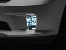 Load image into Gallery viewer, Photo - Close Up