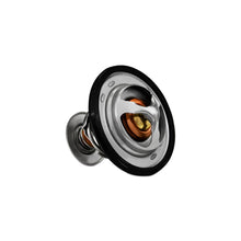 Load image into Gallery viewer, Photo - out of package