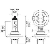 Load image into Gallery viewer, Technical Drawing

