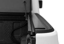 Load image into Gallery viewer, Photo - Mounted
