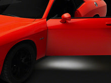 Load image into Gallery viewer, Photo - Primary
