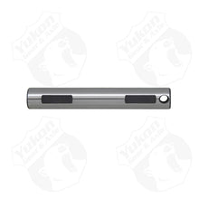 Load image into Gallery viewer, Photo - Primary

