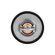 Load image into Gallery viewer, Photo - Close Up
