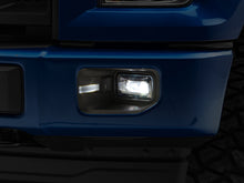 Load image into Gallery viewer, Photo - Close Up
