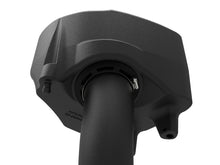 Load image into Gallery viewer, Photo - Close Up
